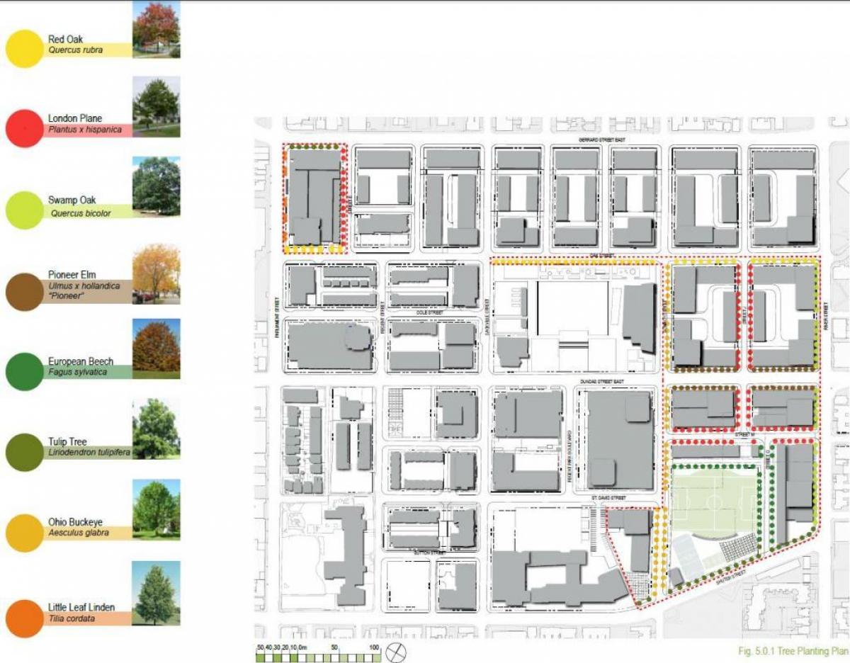 Mapa do plano de Revitalização de Regent Park Toronto fase 3