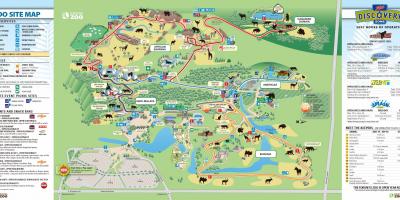 Mapa do jardim zoológico de Toronto