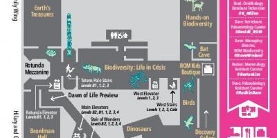 Mapa do Museu Real de Ontário nível 2