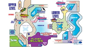 Mapa de Ripley aquário