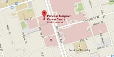 Mapa da Princesa Margaret Câncer Centro de Toronto